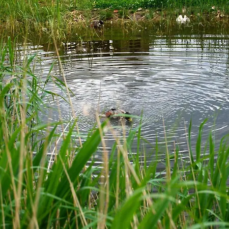 아파트 Ostseelandhaus Mit Suedterrasse Und Teich Ofc 07