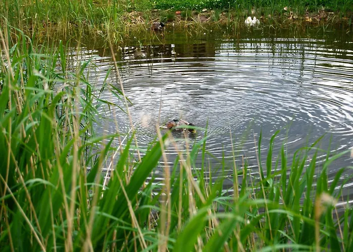 شقة Ostseelandhaus Mit Suedterrasse Und Teich Ofc 07